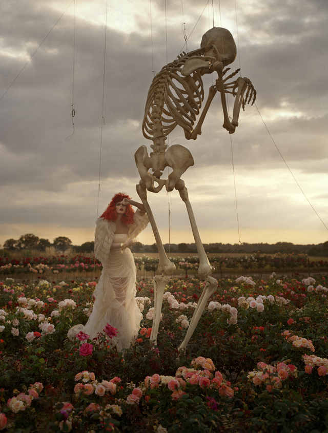 Weeping Skeletons and Cardboard Swans: The Surreal Dreams of
