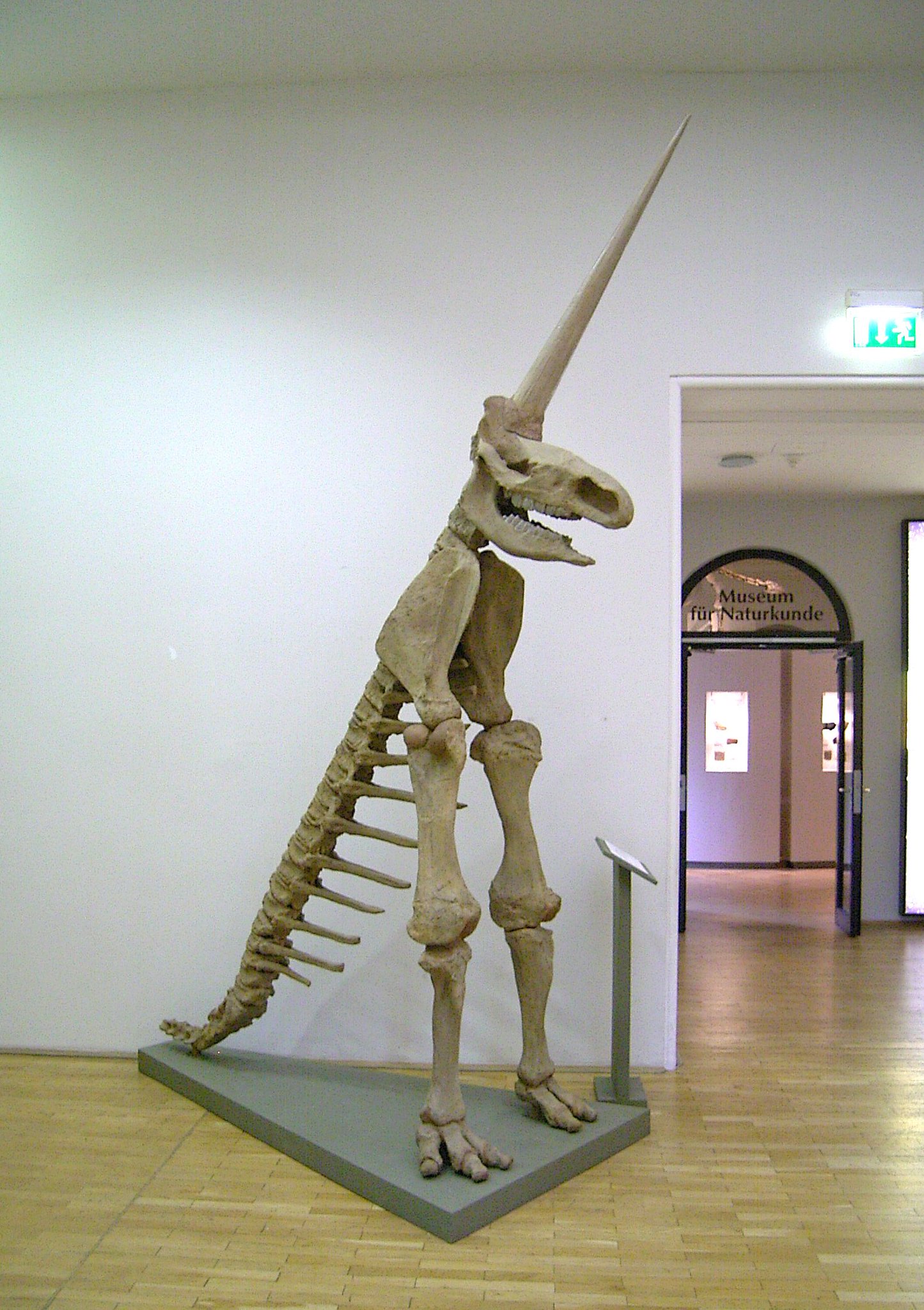 Magdeburg's Unicorn