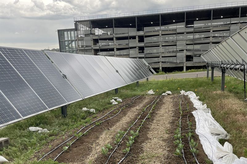 Agrivoltaic Featured Projects Hyperion Systems Llc - Dark Pictures - Amazing 8K Collection