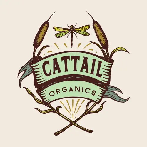 Our Responsive Logo Services