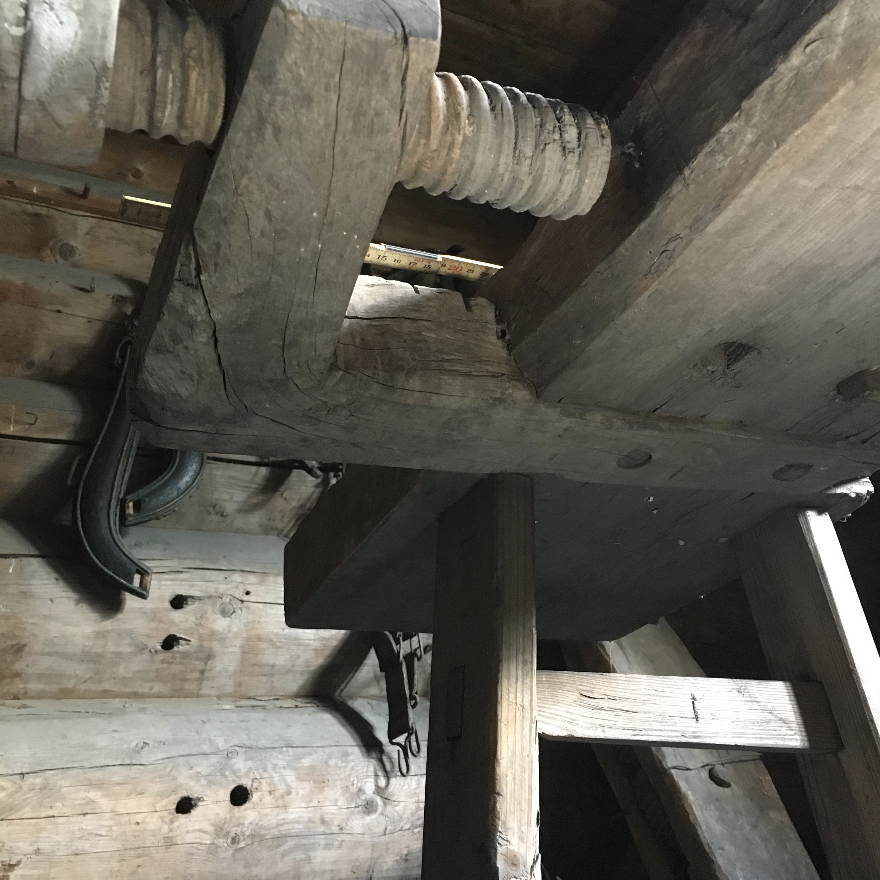 Undersida av framtanga. Foto: Roald Renmælmo