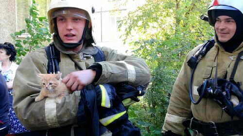 Полезные советы на все случаи жизни