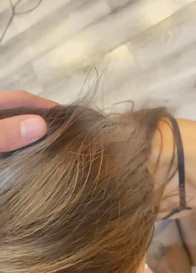 广西南宁高颜值美女刘钰性爱视频曝光 丝美腿狗链做爱跳蛋自慰淫水四溢 口交后入爆操爽翻天！[MP4/174MB] - 截图7