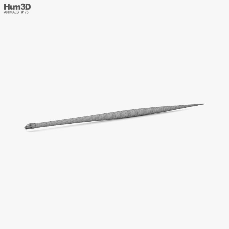 Common Python Low Poly Rigged 3d Model Download Reptile On 3dmodels Org - Perfect Full HD Mountain Patterns | Free Download