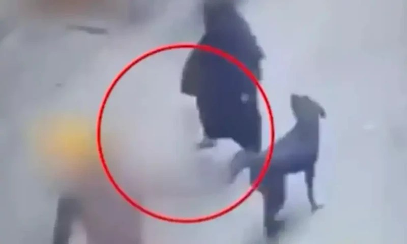 انتہا پسند بھارتی ہندوؤں نے مسلمان خاتون پر کتا چھوڑ دیا