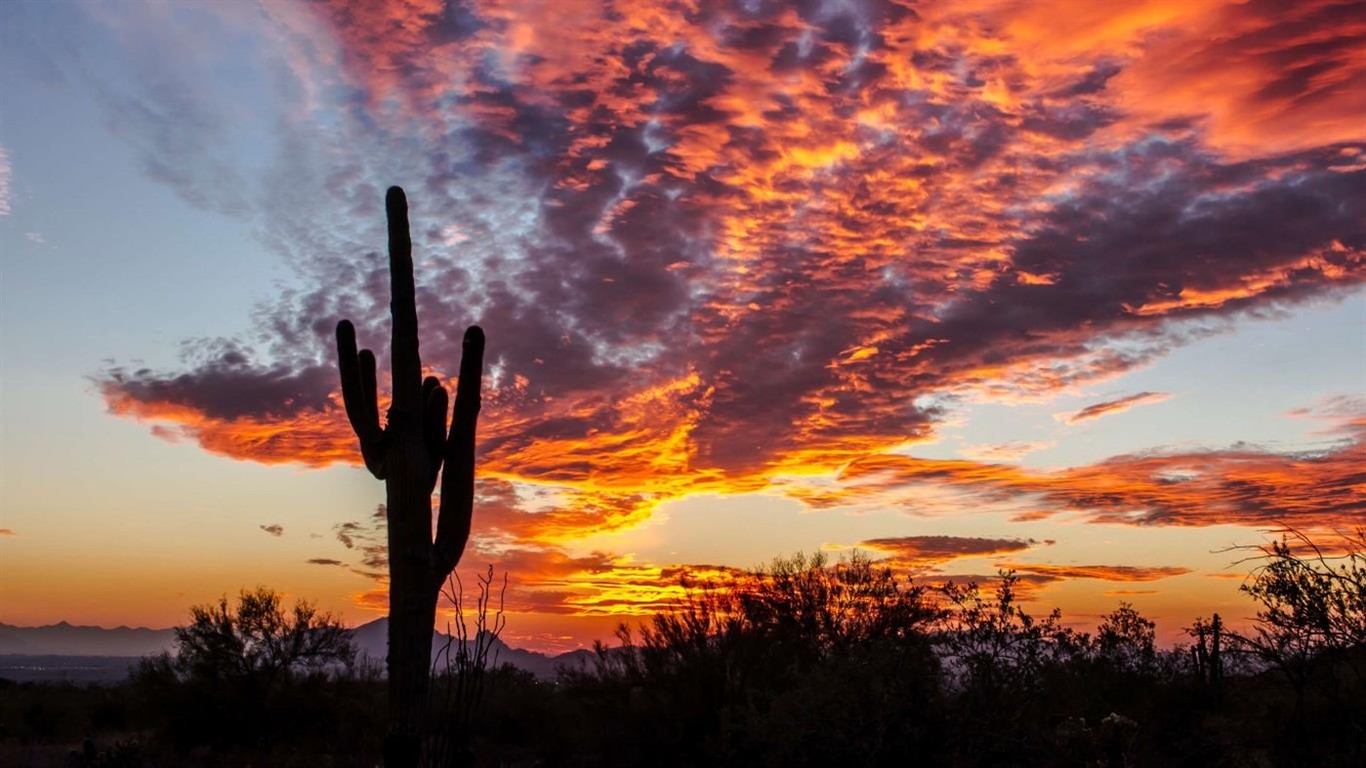 Microsoft Lanza Cuatro Nuevos Paquetes De Temas Para Personalizar Windows 10 Todos Gratis Y En Resolucion 4k