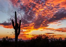 Te Gustan Los Fondos De Pantalla De Bing Prefieres Fondos De Pantalla Hasta En 8k Te Mostramos Paginas Para Personalizar Tu Pc