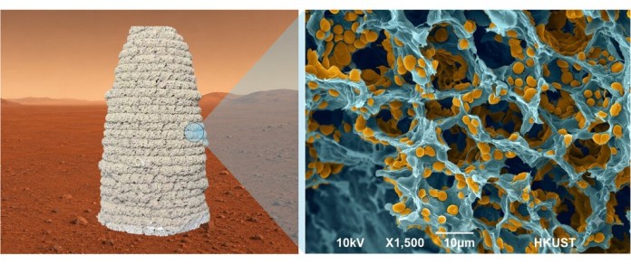 Necesitamos construir casas en Marte sin llevar ladrillos desde la Tierra: la solución que proponen unos científicos es gelatina y levadura 