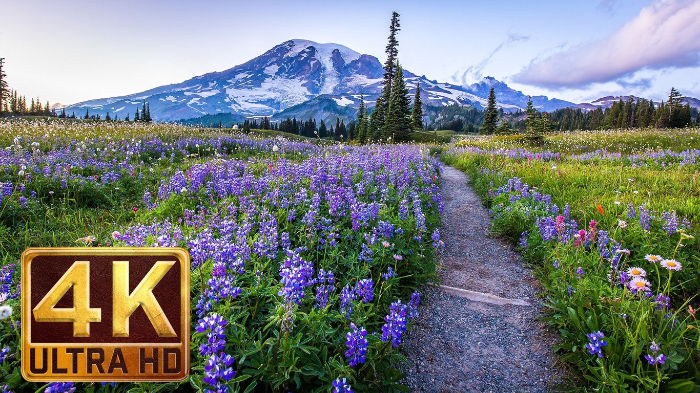 Buscando Contenido 4k Para Presumir De Tele Aqui Tienes 9 Canales En Youtube Con Videos A La Maxima Calidad