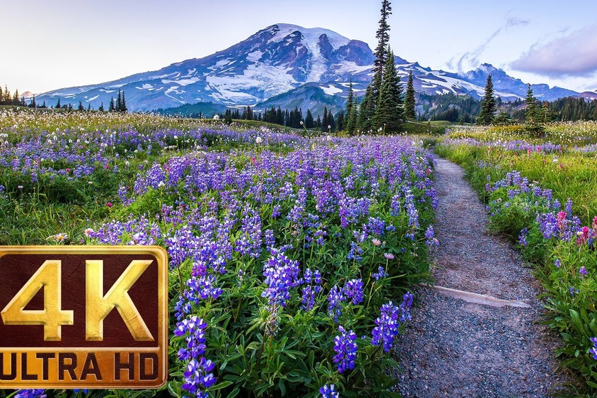 Buscando Contenido 4k Para Presumir De Tele Aqui Tienes 9 Canales En Youtube Con Videos A La Maxima Calidad