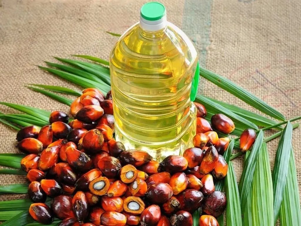Malaysian Palm Oil Market Update: Prices Drop to Three-Week Low (2026)