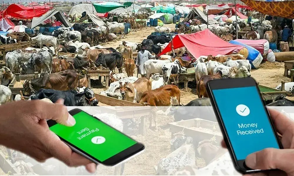 Pakistan's 'Go Cashless' Campaign: A Successful Drive Towards Digital Payments (2026)