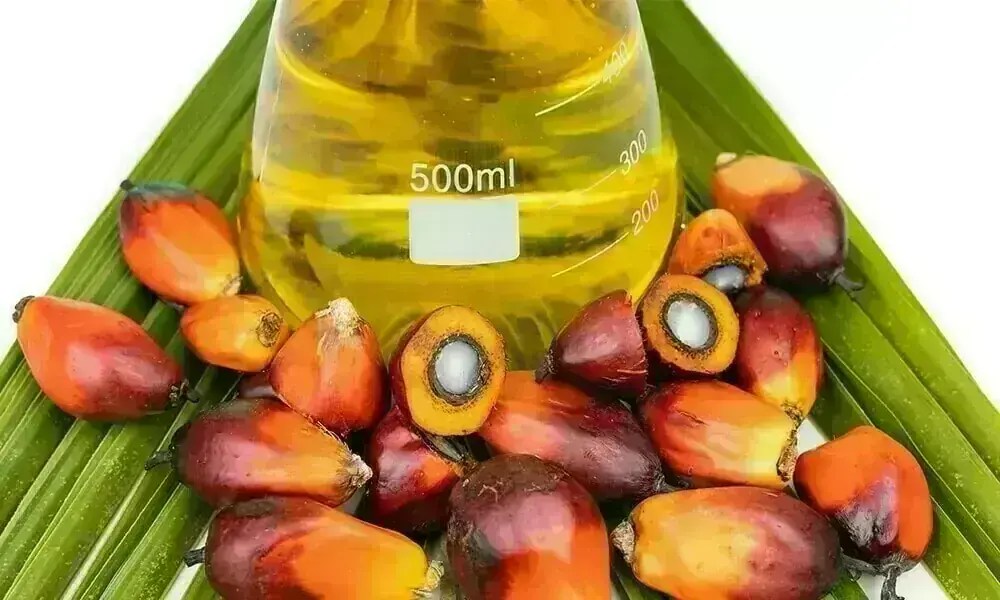 Palm Oil Stocks: AGHA Soars as Others Dip (2026)