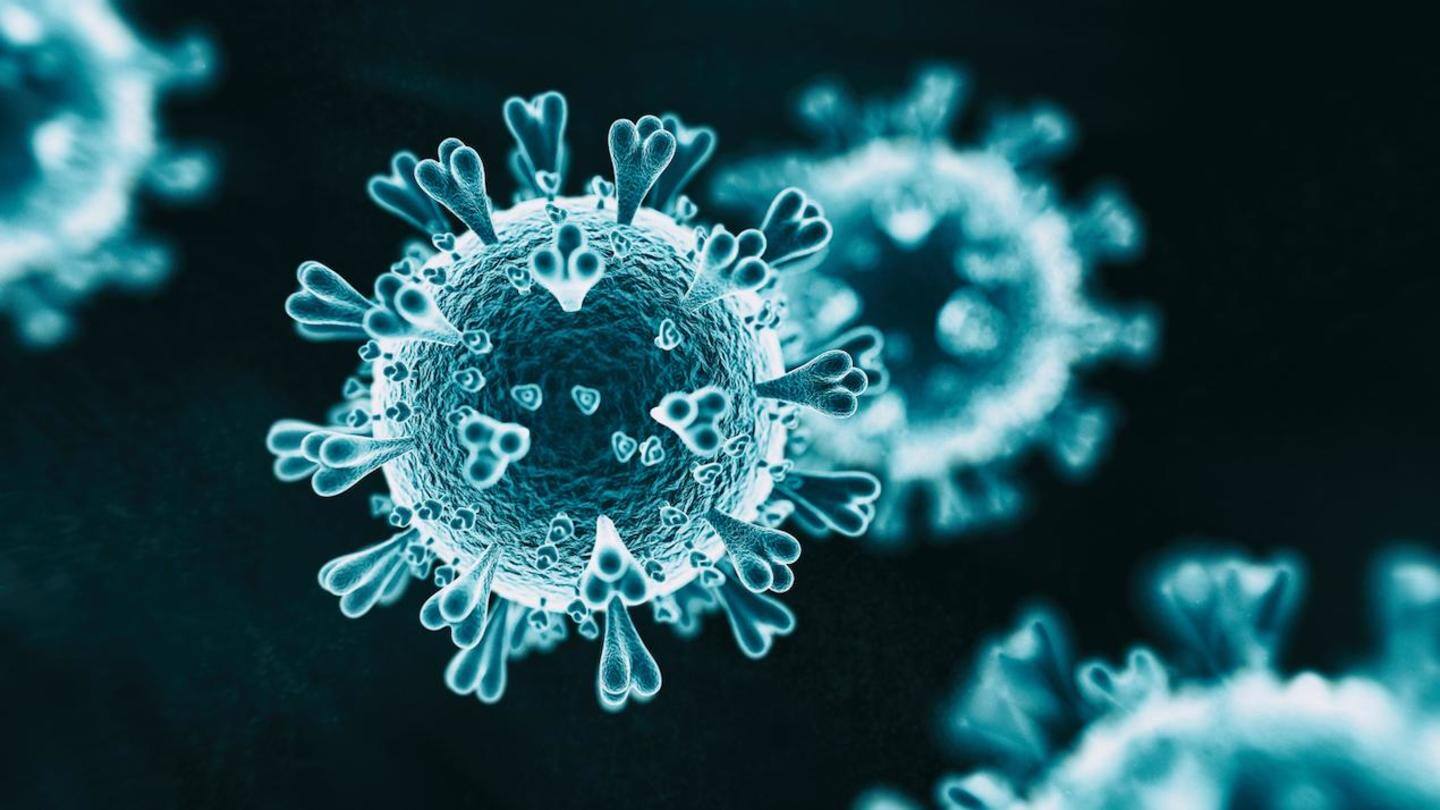 பல இடங்களில் தோன்றி இருக்கும் நோய். Covid 19 May Be Entering Endemic Stage What Does It Mean Newsbytes