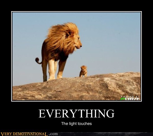 26/03/2019 · watch the official 'everything the light touches' clip for the lion king, an animation movie starring matthew broderick, jonathan taylor thomas and james ear. Memebase Simba Page 2 All Your Memes In Our Base Funny Memes Cheezburger
