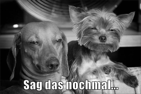 Sag Noch Einmal Ja Im Salzkammergut Hochzeitsguide