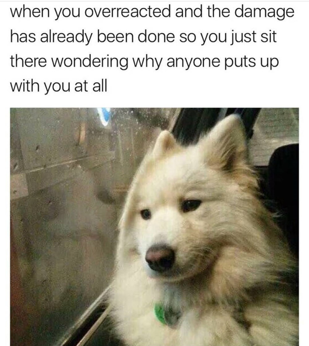 The best memes from instagram, facebook, vine, and twitter about funny pokemon memes clean. Why Am I Like This? - Memebase - Funny Memes