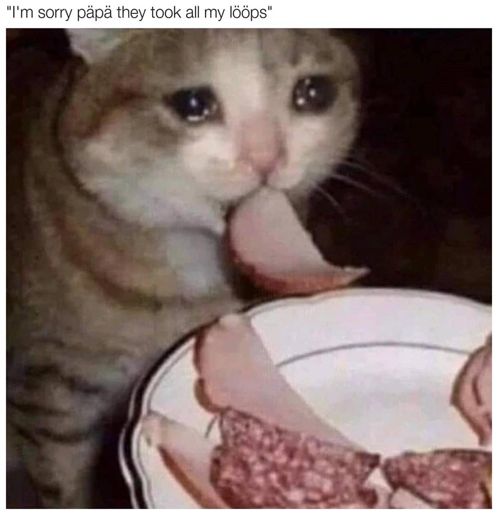 Large meme soundboard, 2019 memes, 2018 memes, 2017 memes, meme sound effects, more than 700 meme sounds Cats Prefer Loops, Brother - Memebase - Funny Memes