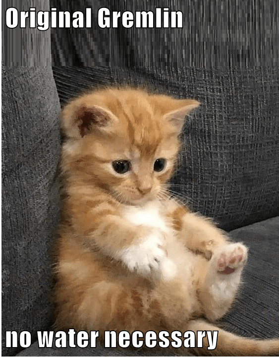 Problems With Your Team You Re Probably Feeding Them After Midnight - Download Premium City Background | High Resolution