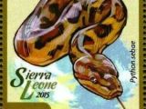 Stamp Central African Rock Python Python Sebae Sierra Leone Fauna