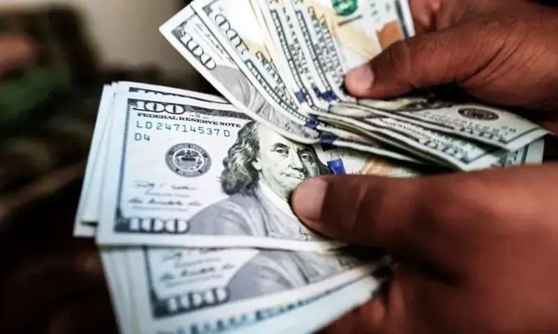 Pakistan's Economy: $118.6M Inflows in T-bills, a Positive Shift (2025)