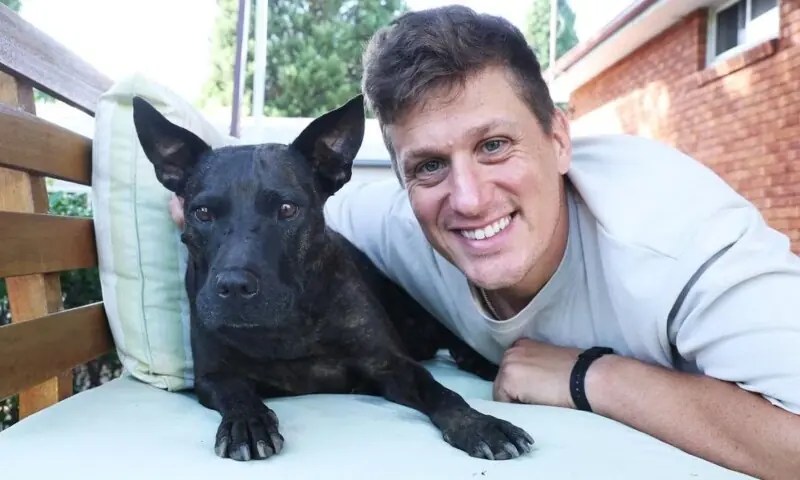 AI-Designed mRNA Vaccine for Dogs: Could This Tech Change Cancer Treatment? (2026)