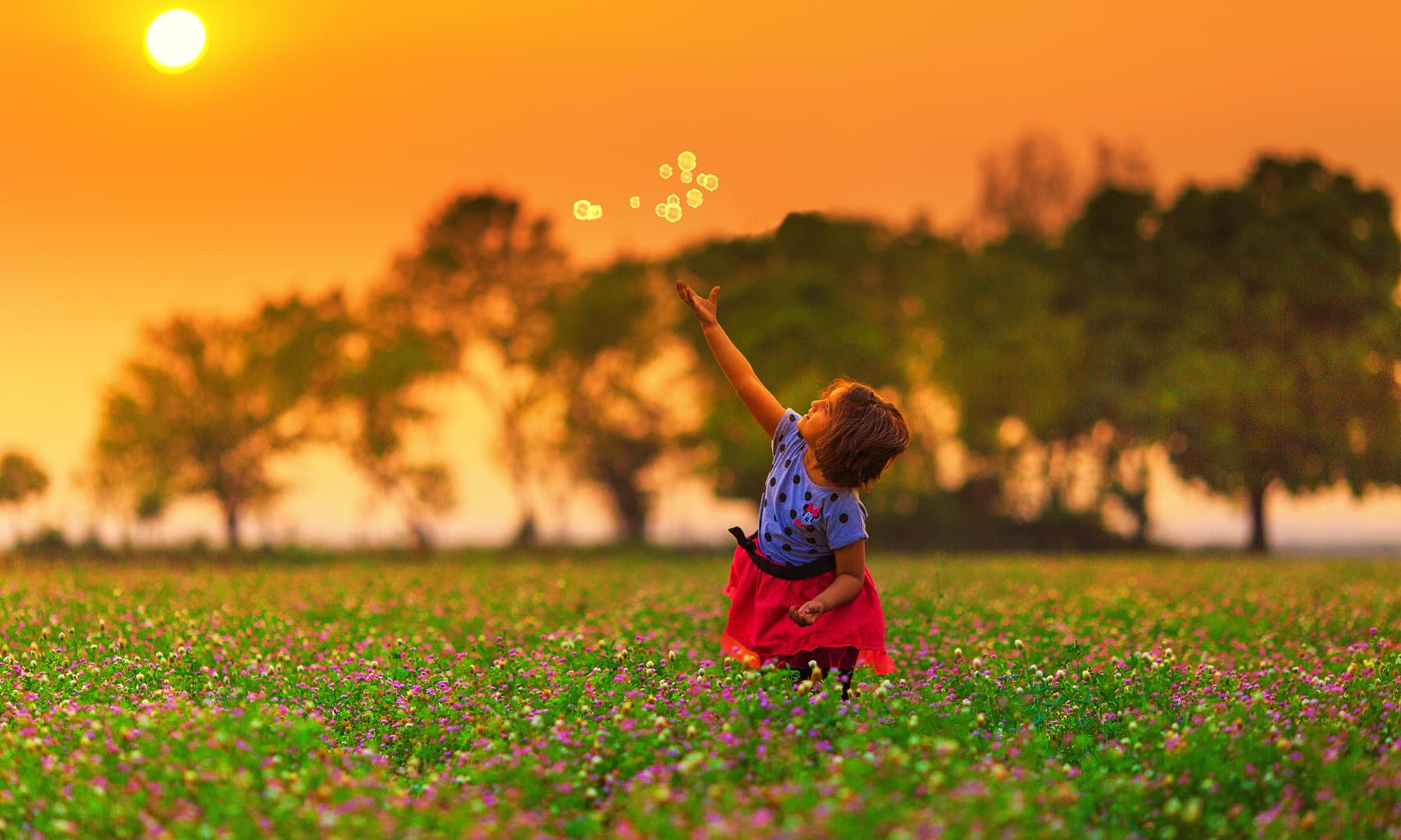 مرالہ کے نزدیک.— فوٹو سید مہدی بخاری۔