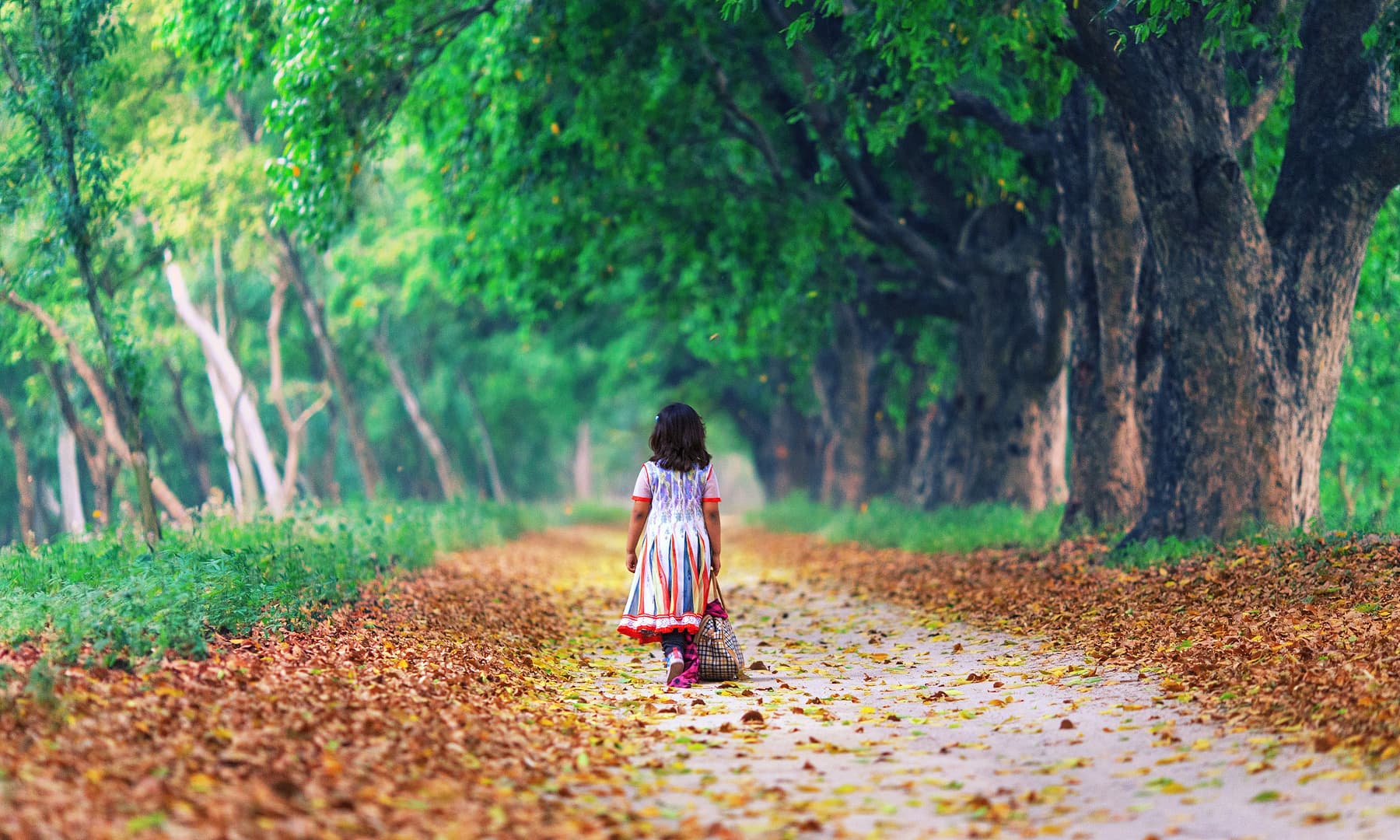 مرالہ کے نزدیک ایک پگڈنڈی.— فوٹو سید مہدی بخاری۔