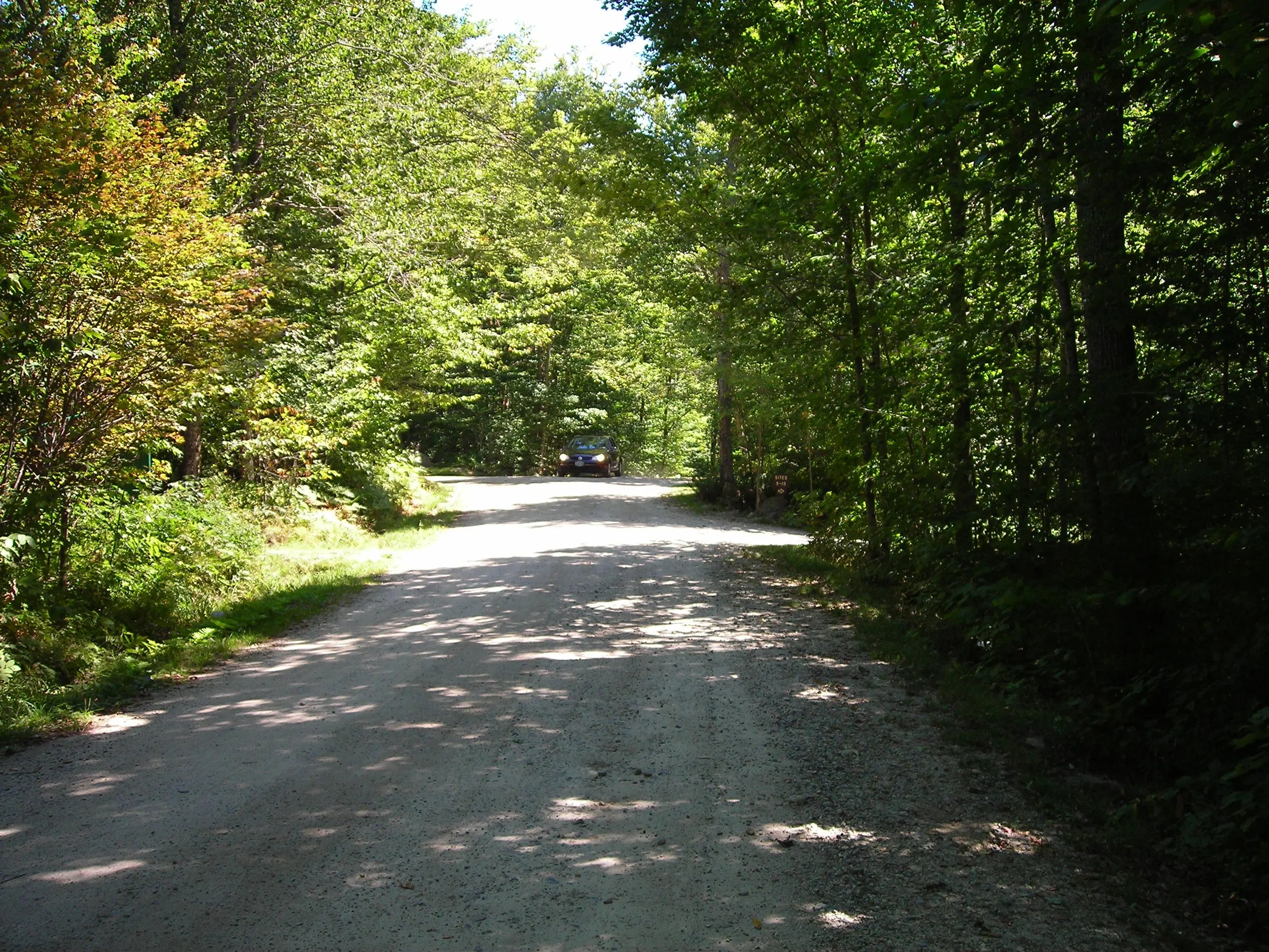 DSCN0966