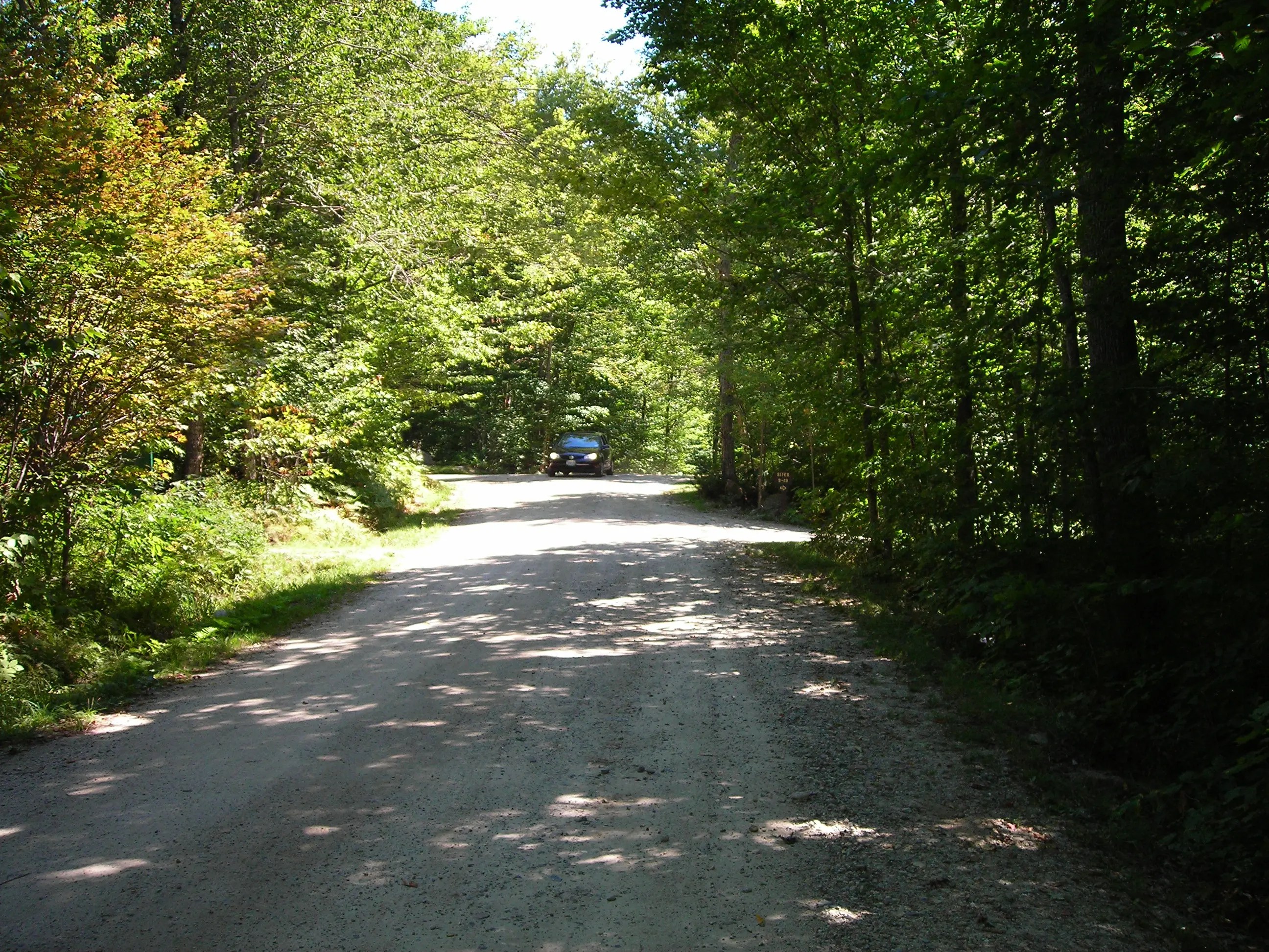 DSCN0967