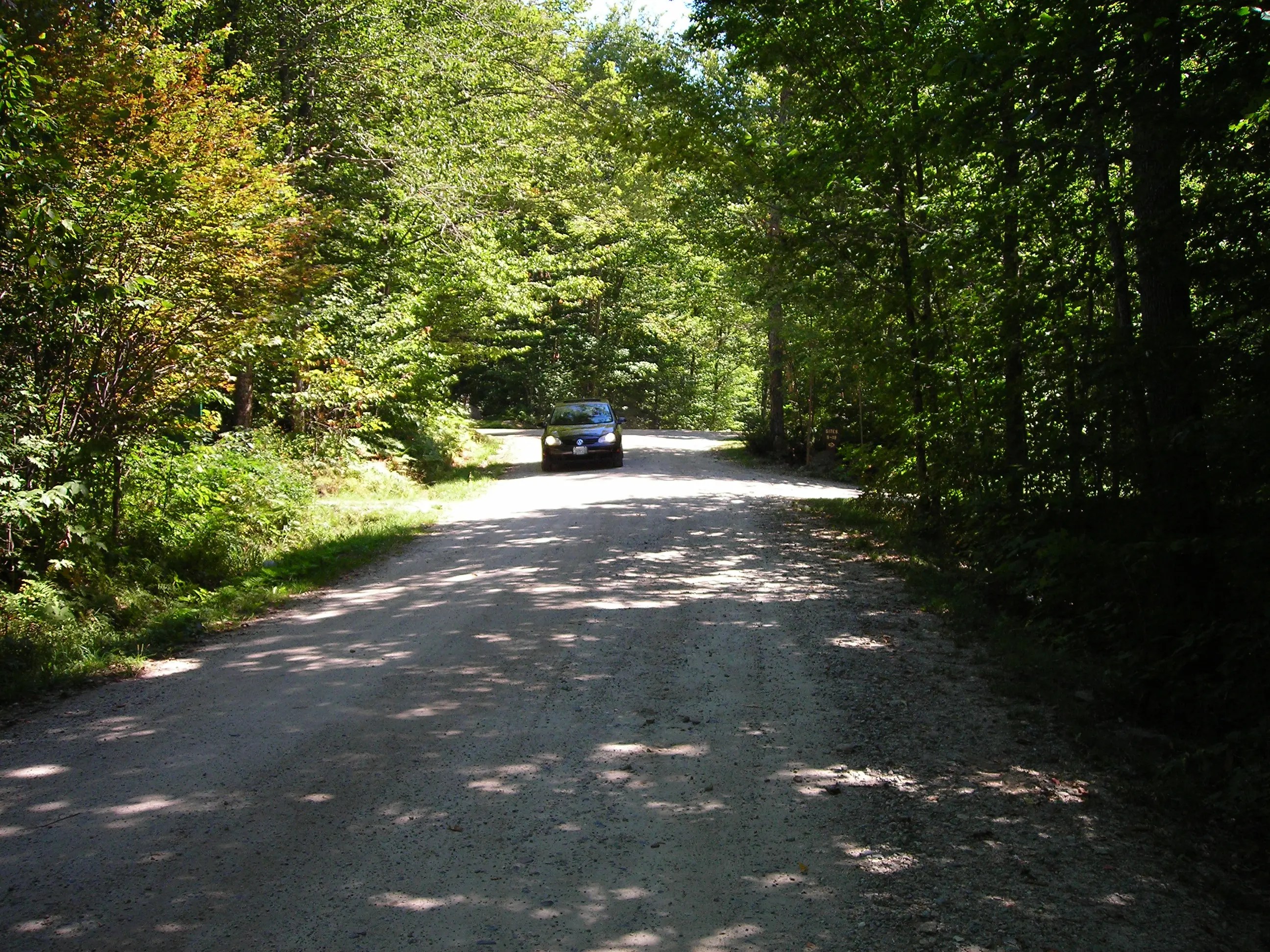 DSCN0969
