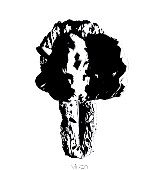 Miron Preto Black Gif On Gifer By Grom