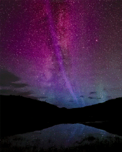 Gif Elder Scrolls Hunting Animated Gif On Gifer By Oghmarana