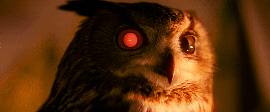 Replicant Artificial Owl Blade Runner Gif On Gifer By Marg