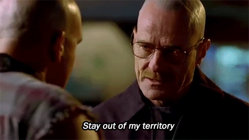 picture Walter White Meme Gif amc breaking bad show gif on gifer by