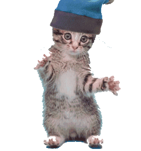 pix Cat Dancing Gif Transparent Background gifer