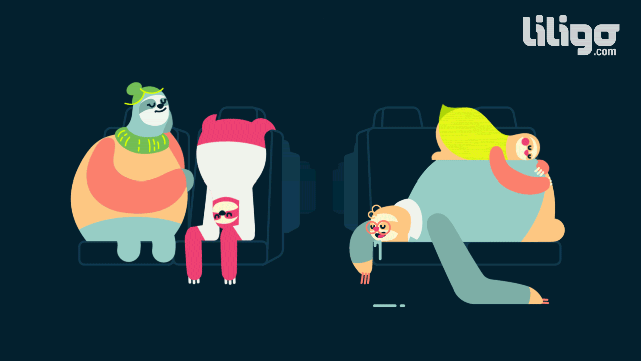 Bradipi Animali Gif On Gifer By Morluwield