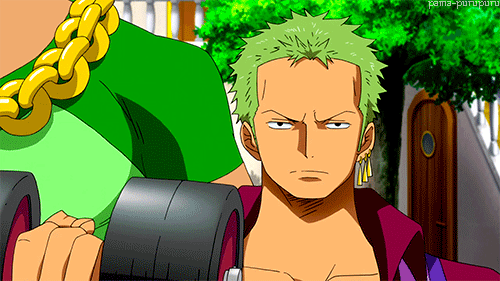 picture Roronoa Zoro Anime Gif One Piece gifer
