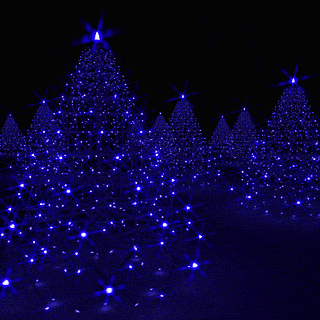Gif Elvis Presley Animated Gif On Gifer By Motaxe
