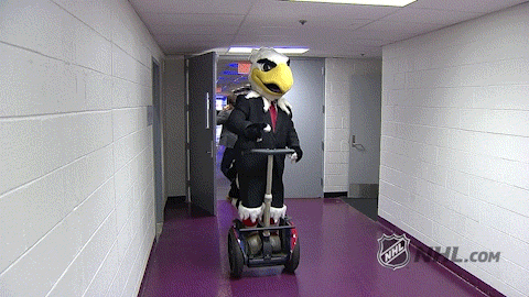 pics Minnesota Wild Mascot Gif gifer