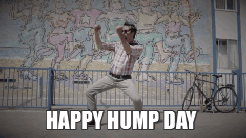 Happy Hump Day Humping Gif Find On Gifer
