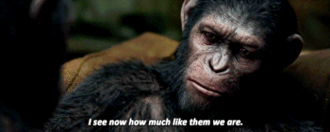 Planet Of The Apes Gif On Gifer By Malathris
