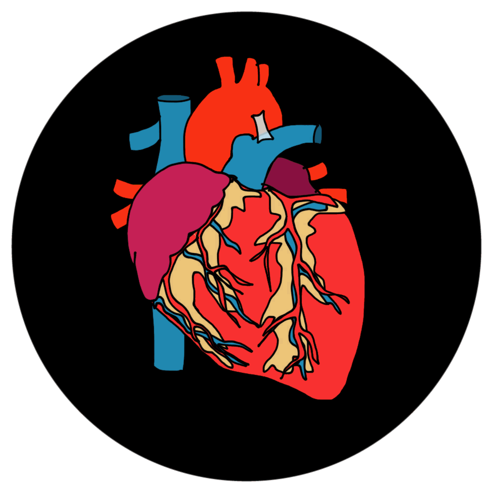 pix Png Gif Animation Heart Beating Gif gifer com