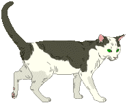 pics Gif Gato Desenho Png gifer com