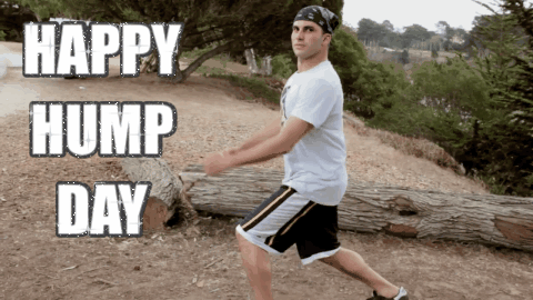 Happy Hump Day Humping Gif Find On Gifer