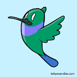 bird animation hummingbird flying loop gifs animated fly giphy character gifer tweet
