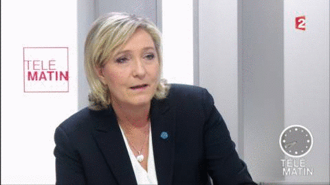 Find funny gifs, cute gifs, reaction gifs and more. Wtf Marine Le Pen Freakout Gif Find On Gifer