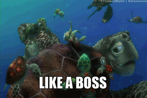 He helps marlin and dory get to sydney harbour to rescue nemo. Crush Reaction Caption Squirt Gif On Gifer By Spellhunter