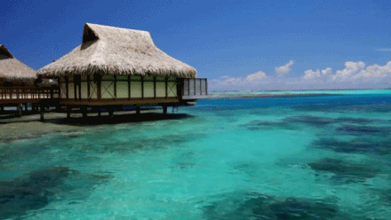 images Gif Zoom Background Beach gif beach zoom playa animated gif on