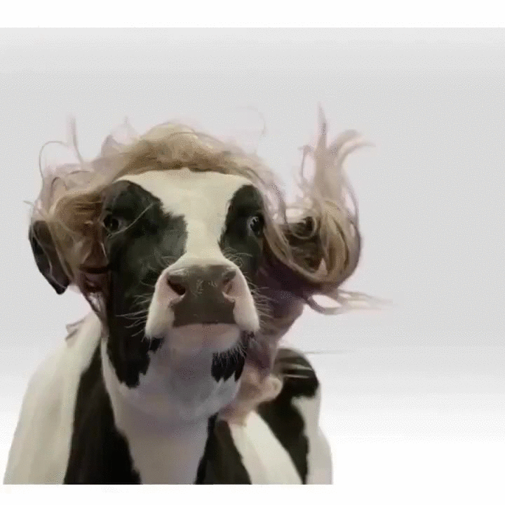 pix Easy Breezy Beautiful Covergirl Gif gifer com